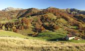 AVOLASIO - MONTE SODADURA 20 ottobre 2010 - FOTOGALLERY